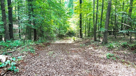 193 Acres on Pigg River – Hunt, Fish, Build, & Explore VA - image 11