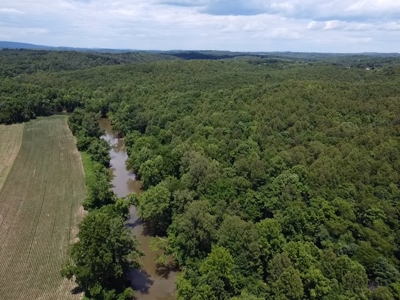 193 Acres on Pigg River – Hunt, Fish, Build, & Explore VA - image 5