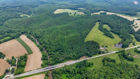 193 Acres on Pigg River – Hunt, Fish, Build, & Explore VA - image 3