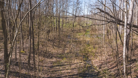 Untamed Tennessee Paradise: 10+ Acres, Spring Flow, Camper & - image 3