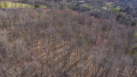 Untamed Tennessee Paradise: 10+ Acres, Spring Flow, Camper & - image 25