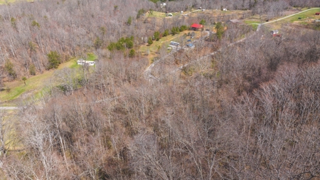 Untamed Tennessee Paradise: 10+ Acres, Spring Flow, Camper & - image 26