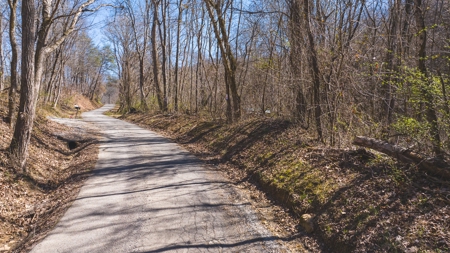 Untamed Tennessee Paradise: 10+ Acres, Spring Flow, Camper & - image 8