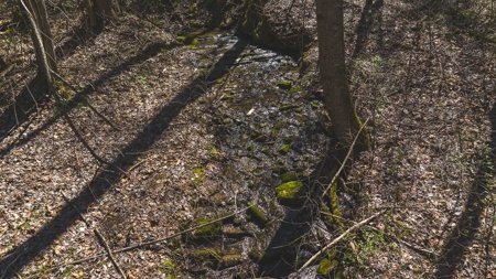 Untamed Tennessee Paradise: 10+ Acres, Spring Flow, Camper & - image 12