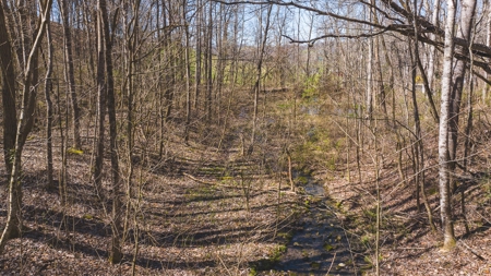 Untamed Tennessee Paradise: 10+ Acres, Spring Flow, Camper & - image 4