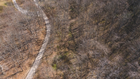 Untamed Tennessee Paradise: 10+ Acres, Spring Flow, Camper & - image 18