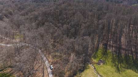 Untamed Tennessee Paradise: 10+ Acres, Spring Flow, Camper & - image 17