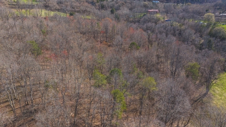 Untamed Tennessee Paradise: 10+ Acres, Spring Flow, Camper & - image 23