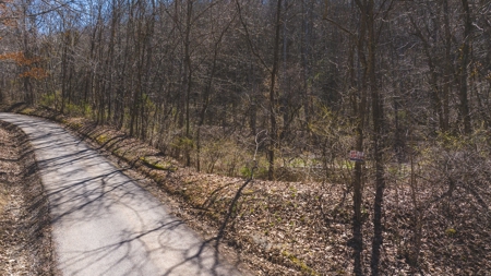 Untamed Tennessee Paradise: 10+ Acres, Spring Flow, Camper & - image 7