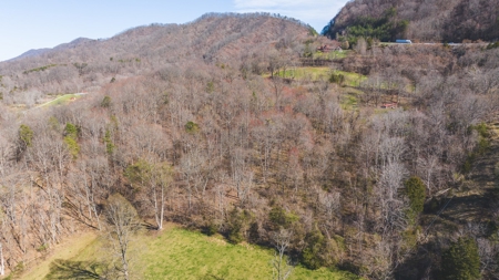 Untamed Tennessee Paradise: 10+ Acres, Spring Flow, Camper & - image 24