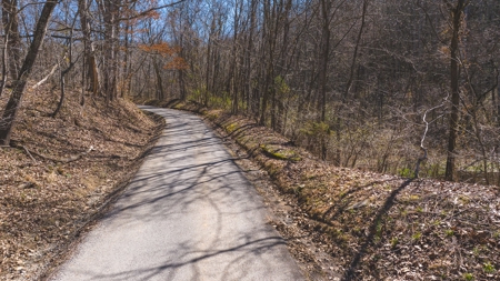 Untamed Tennessee Paradise: 10+ Acres, Spring Flow, Camper & - image 6