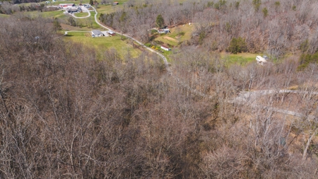 Untamed Tennessee Paradise: 10+ Acres, Spring Flow, Camper & - image 21