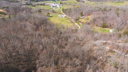 Untamed Tennessee Paradise: 10+ Acres, Spring Flow, Camper & - image 22