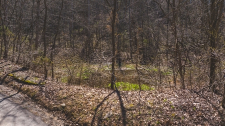 Untamed Tennessee Paradise: 10+ Acres, Spring Flow, Camper & - image 5