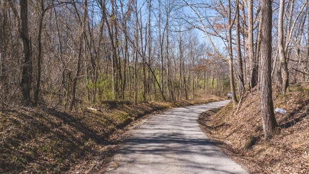 Untamed Tennessee Paradise: 10+ Acres, Spring Flow, Camper & - image 9