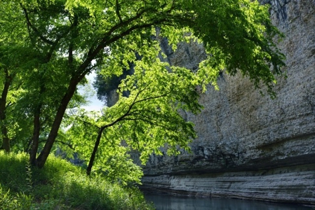 River Front Land For Sale In Northwest Arkansas - image 3