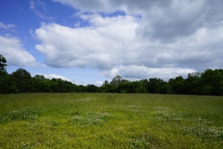 River Front Land For Sale In Northwest Arkansas - image 4