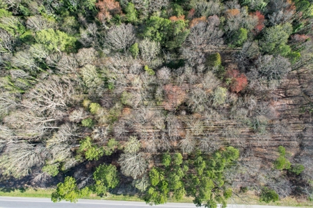 Prime Land For Sale - Ideal For Development - image 11