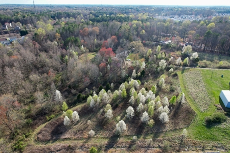 Prime Land For Sale - Ideal For Development - image 13