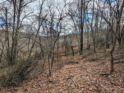 Wooded Land for Sale in Floyd VA - image 8