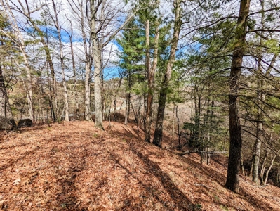 Wooded Land for Sale in Floyd VA - image 13