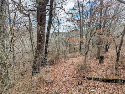 Wooded Land for Sale in Floyd VA - image 6