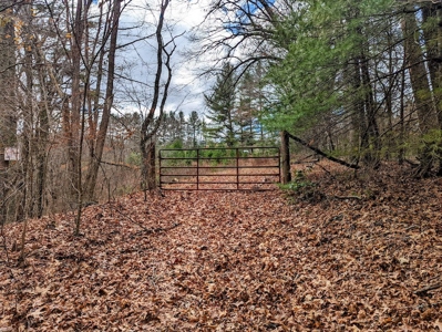 Wooded Land for Sale in Floyd VA - image 2