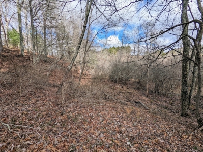 Wooded Land for Sale in Floyd VA - image 9