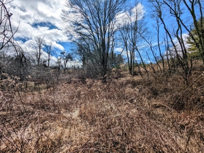 Wooded Land for Sale in Floyd VA - image 11