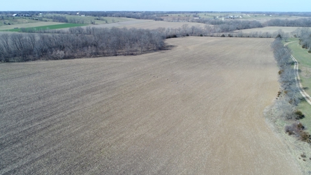 Arbela, MO Land For Sale - image 10