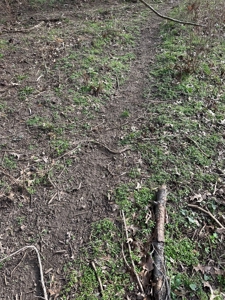 Arbela, MO Land For Sale - image 39