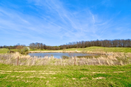 Indiana Land for Sale, Spencer county, farm, homesite - image 25