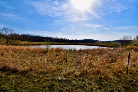 Indiana Land for Sale, Spencer county, farm, homesite - image 15