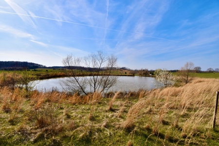 Indiana Land for Sale, Spencer county, farm, homesite - image 17