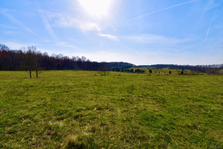 Indiana Land for Sale, Spencer county, farm, homesite - image 22