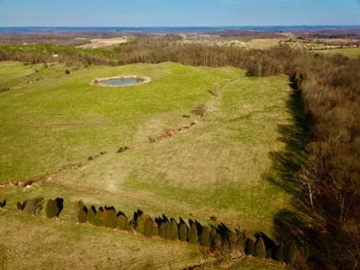 Indiana Land for Sale, Spencer county, farm, homesite - image 3