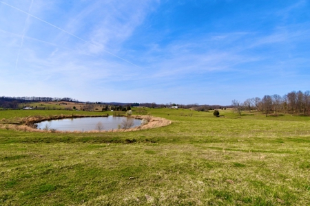Indiana Land for Sale, Spencer county, farm, homesite - image 18