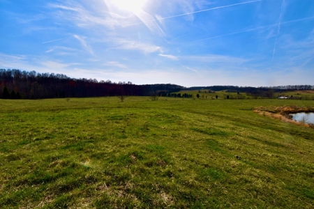 Indiana Land for Sale, Spencer county, farm, homesite - image 20