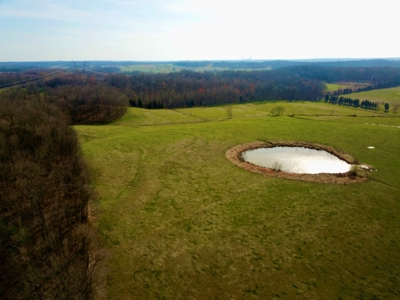Indiana Land for Sale, Spencer county, farm, homesite - image 7