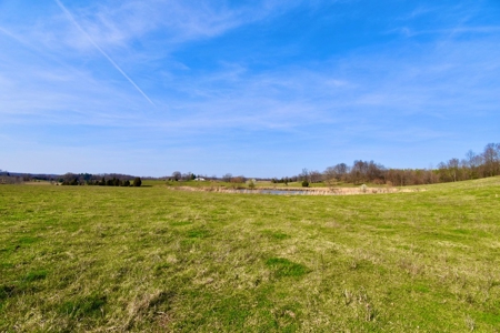 Indiana Land for Sale, Spencer county, farm, homesite - image 21