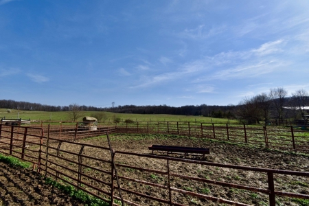 Indiana Land for Sale, Spencer county, farm, homesite - image 10