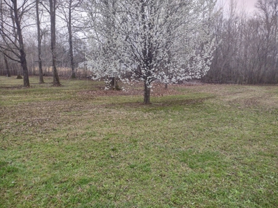 Land for Sale in Decatur County, Tennessee - image 6