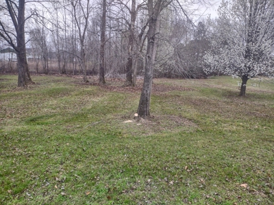Land for Sale in Decatur County, Tennessee - image 11