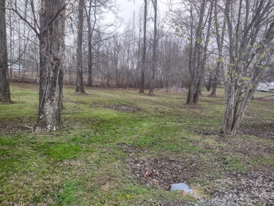 Land for Sale in Decatur County, Tennessee - image 13