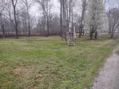 Land for Sale in Decatur County, Tennessee - image 8