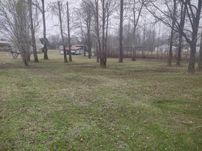 Land for Sale in Decatur County, Tennessee - image 4
