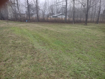 Land for Sale in Decatur County, Tennessee - image 5