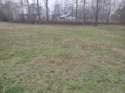 Land for Sale in Decatur County, Tennessee - image 9