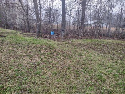 Land for Sale in Decatur County, Tennessee - image 15