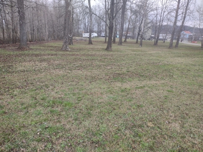 Land for Sale in Decatur County, Tennessee - image 14